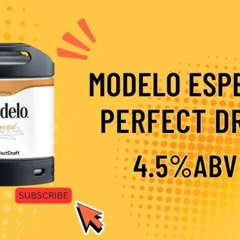 PD MODELO PerfectDraft 6L Keg